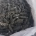 精品半干海参2025质量保证量大从优质量保证欢迎咨询