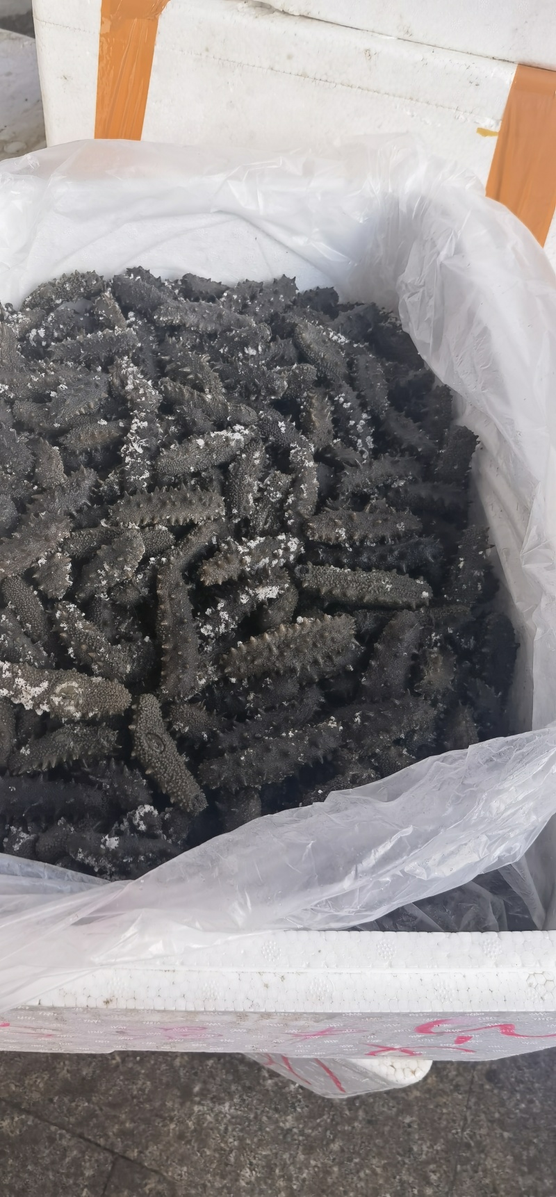 精品半干海参2025质量保证量大从优质量保证欢迎咨询