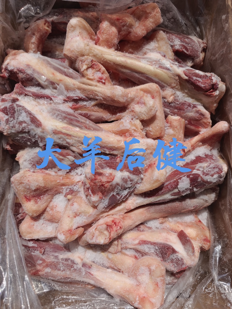 【大羊后小腿】当地草原羊的后健！带拐筋新鲜速冻！全国接单