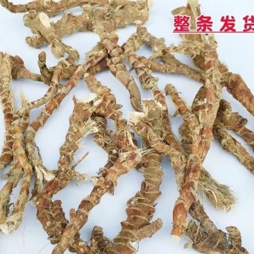 茴香菖蒲山奈根五香草根晒干三奈去腥增香卤肉干货