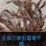茴香菖蒲山奈根五香草根晒干三奈去腥增香卤肉干货
