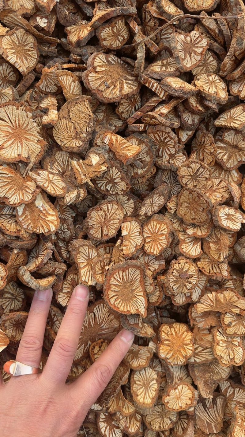 云南红藤又名血塞通，自己的加工厂，助农产品，为农民推广