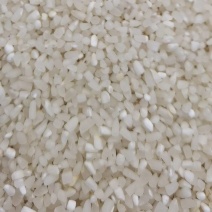 碎米新米碎厂家直销