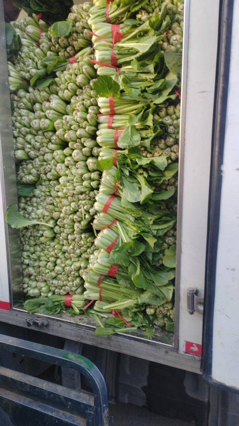 小白菜量大的联系有需要的可以联系我有市场货有电商货