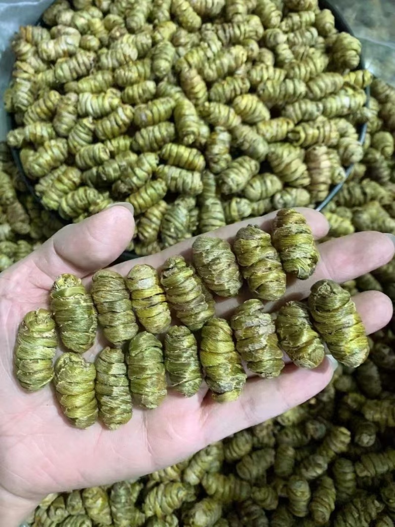 铁皮石斛胶质好散装1斤起包邮量大从优