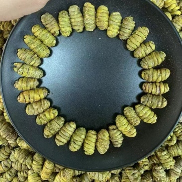 铁皮石斛胶质好散装1斤起包邮量大从优