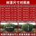 植物防寒保暖罩果树越冬加厚防冻罩室外保温防霜保温套花卉