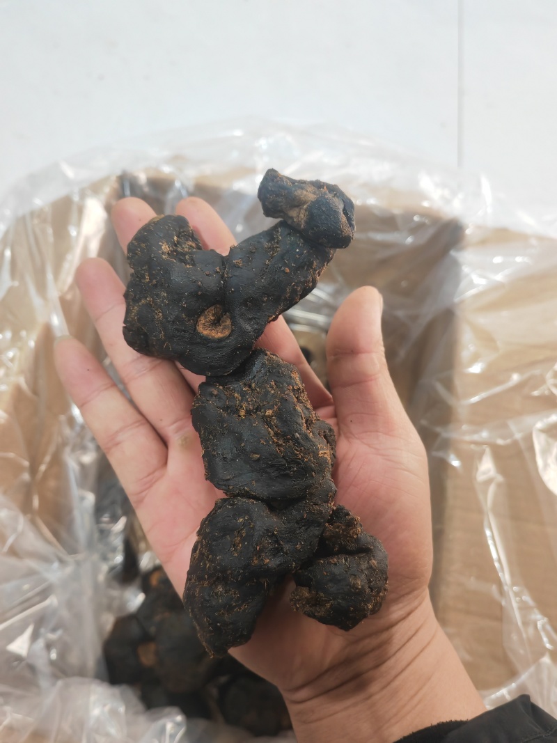 九蒸黄精
