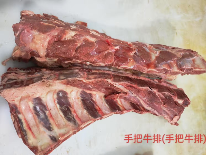 肩胛骨
