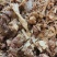 牛头拆骨肉便宜走量二十公斤一件