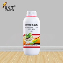 4.5%高效氯氰菊酯乳油杀虫剂小菜蛾广谱杀虫