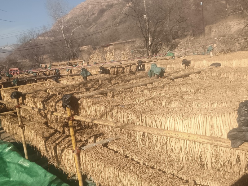 岷县精品无硫党参，产地发货，高山高海拔种植，可视频看货。