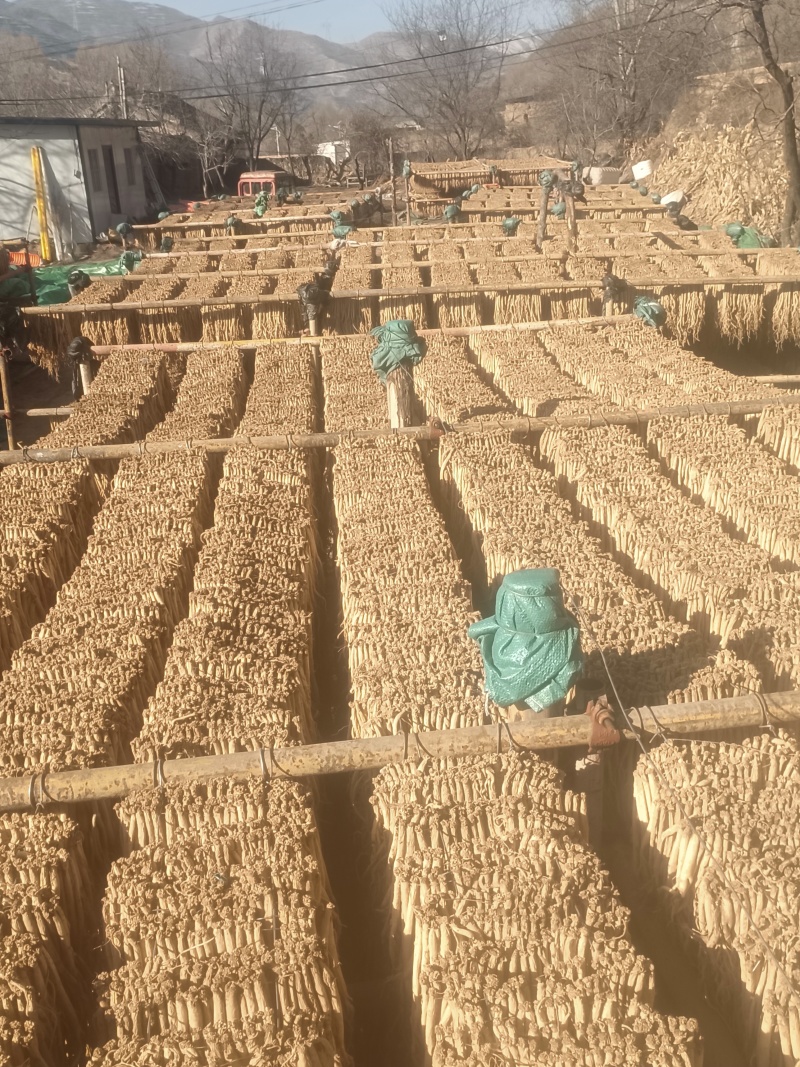 岷县精品无硫党参，产地发货，高山高海拔种植，可视频看货。