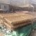 岷县精品无硫党参，产地发货，高山高海拔种植，可视频看货。