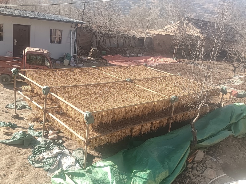 岷县精品无硫党参，产地发货，高山高海拔种植，可视频看货。