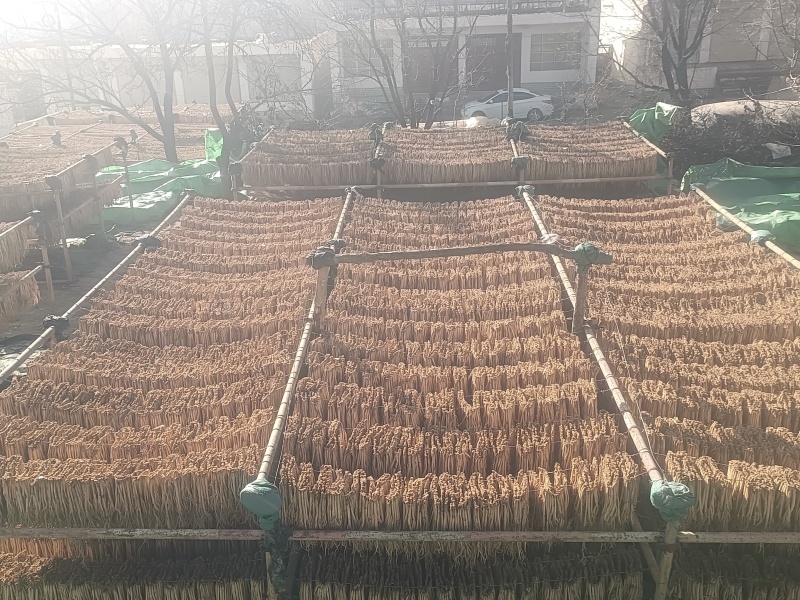 岷县精品无硫党参，产地发货，高山高海拔种植，可视频看货。
