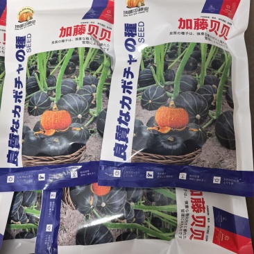 日本加藤贝贝南瓜板栗南瓜，粉糯香甜，包邮