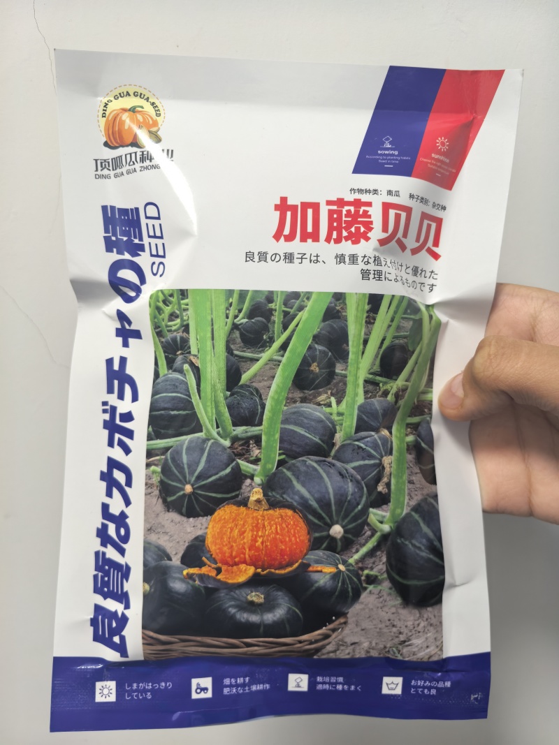 日本加藤贝贝南瓜板栗南瓜，粉糯香甜，包邮