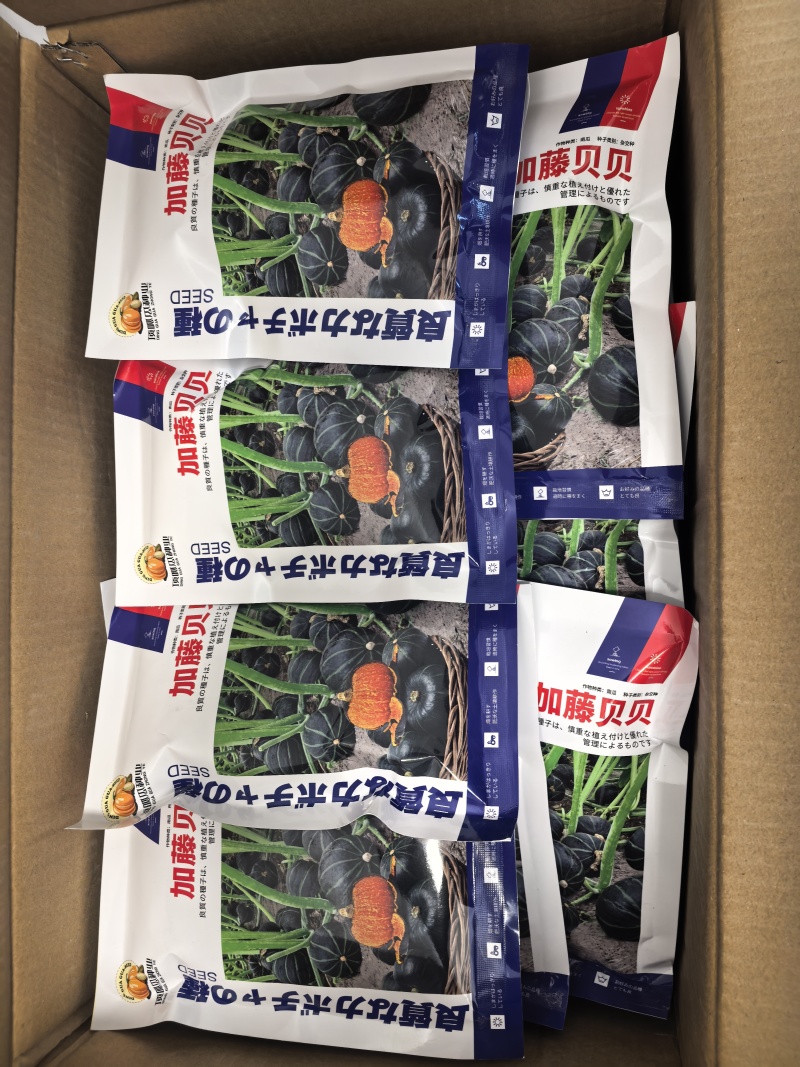 日本加藤贝贝南瓜板栗南瓜，粉糯香甜，包邮