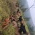 山羊