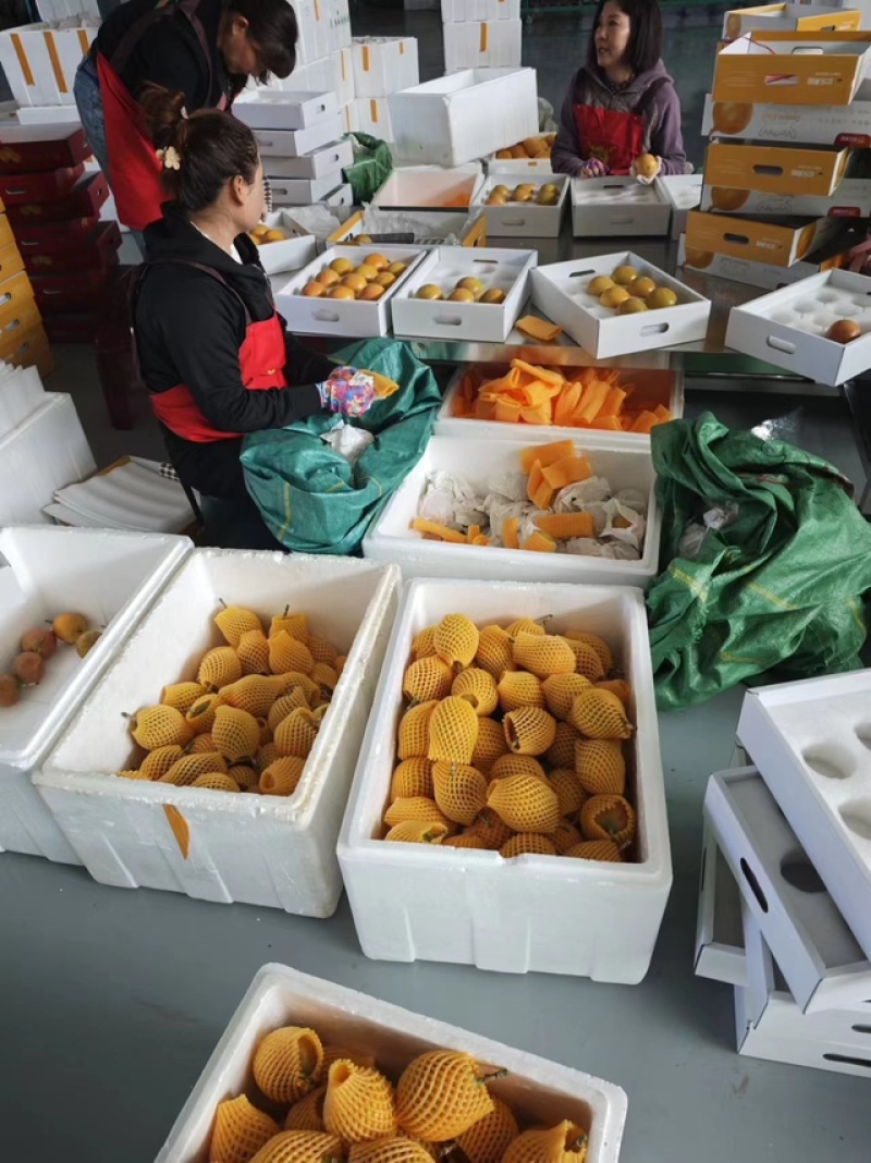 黄金百香果热情果哥伦比亚热情果外表金黄，汁水丰富