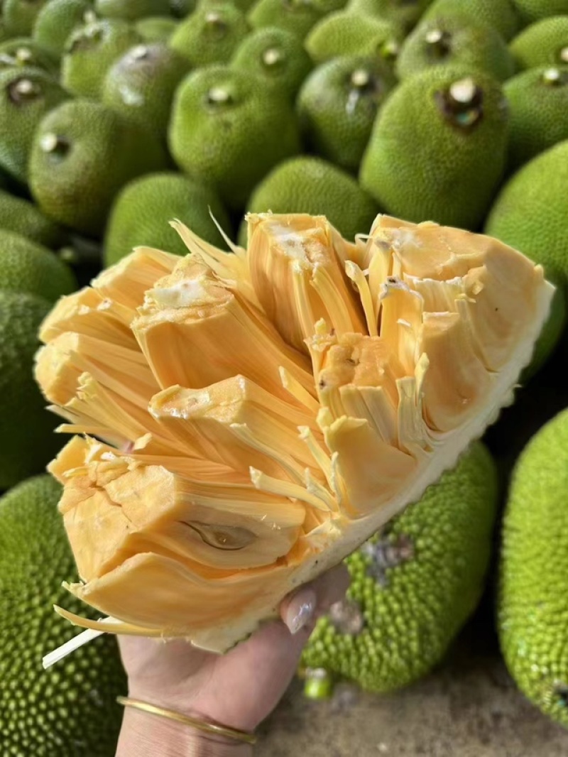 菠萝蜜泰八菠萝蜜量大发货运费自理欢迎来电