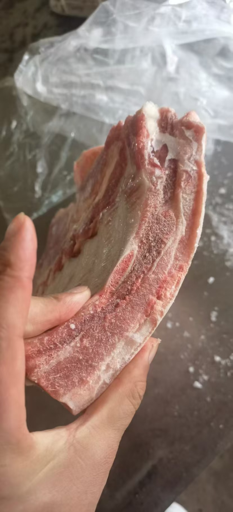 肥猪带皮带肋中方