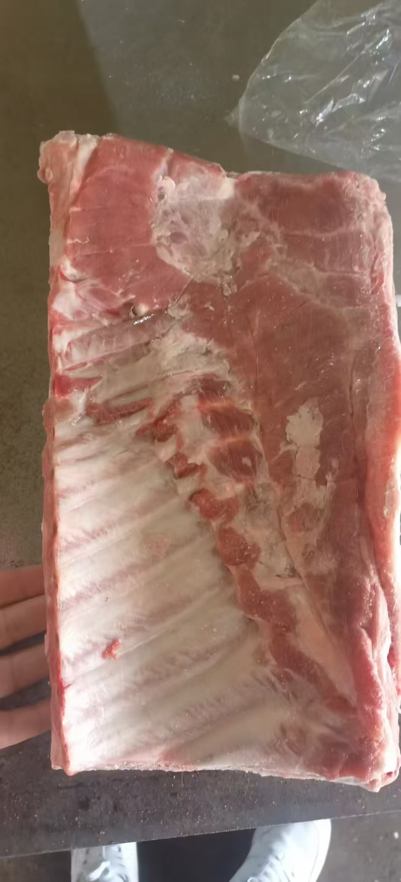肥猪带皮带肋中方