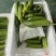 辽宁精品一级旱黄瓜泡沫箱装新鲜刚到辽宁一级旱黄瓜
