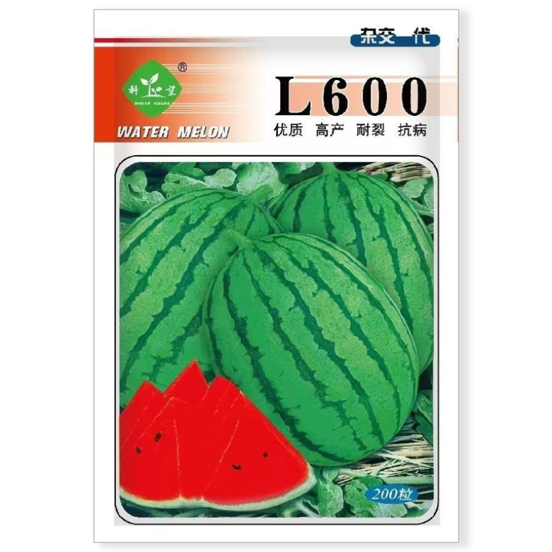 L600西瓜种子早熟小型礼品西瓜果肉红耐裂性好