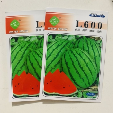 L600西瓜种子早熟小型礼品西瓜果肉红耐裂性好