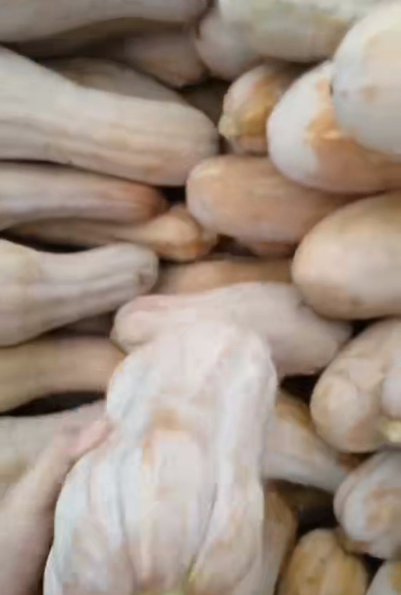 山东南瓜老品种甜面黄蜜瓜南瓜新鲜蔬菜粉糯香甜长南瓜