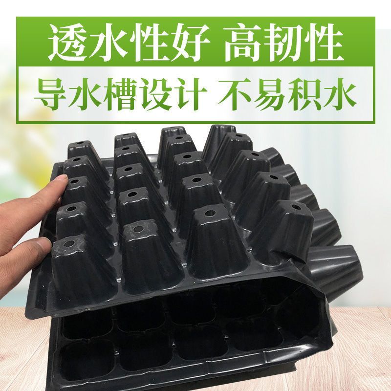 穴盘育苗盘育苗盒器苗木多肉育苗箱育苗盆托盘营养钵育苗杯