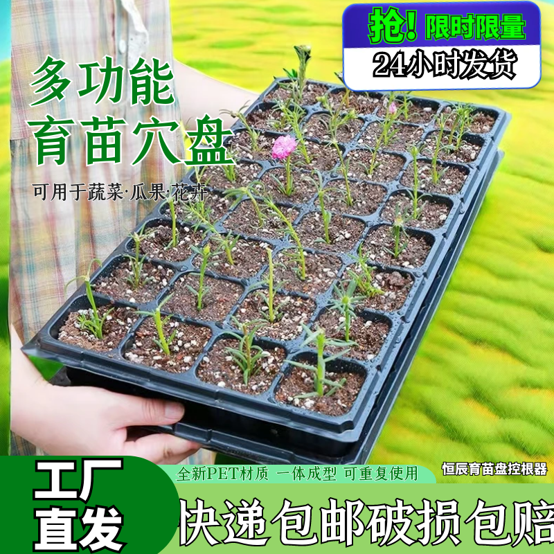 穴盘育苗盘育苗盒器苗木多肉育苗箱育苗盆托盘营养钵育苗杯
