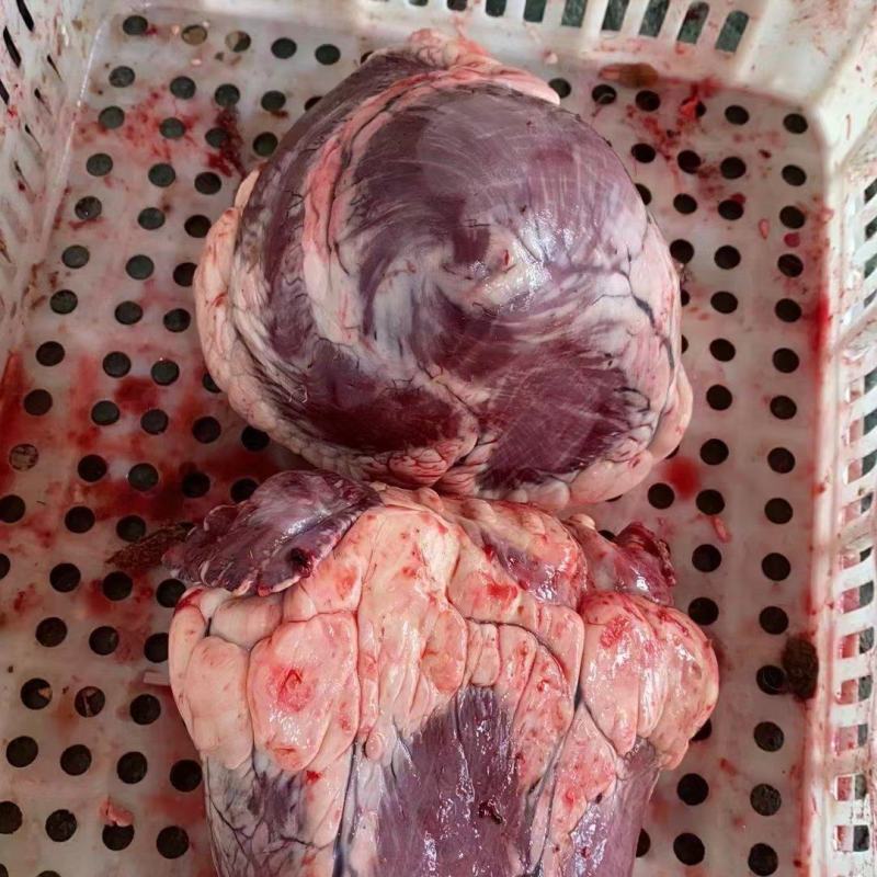 牛心，生牛心，鲜冻牛心，鲜冻生牛心。。。