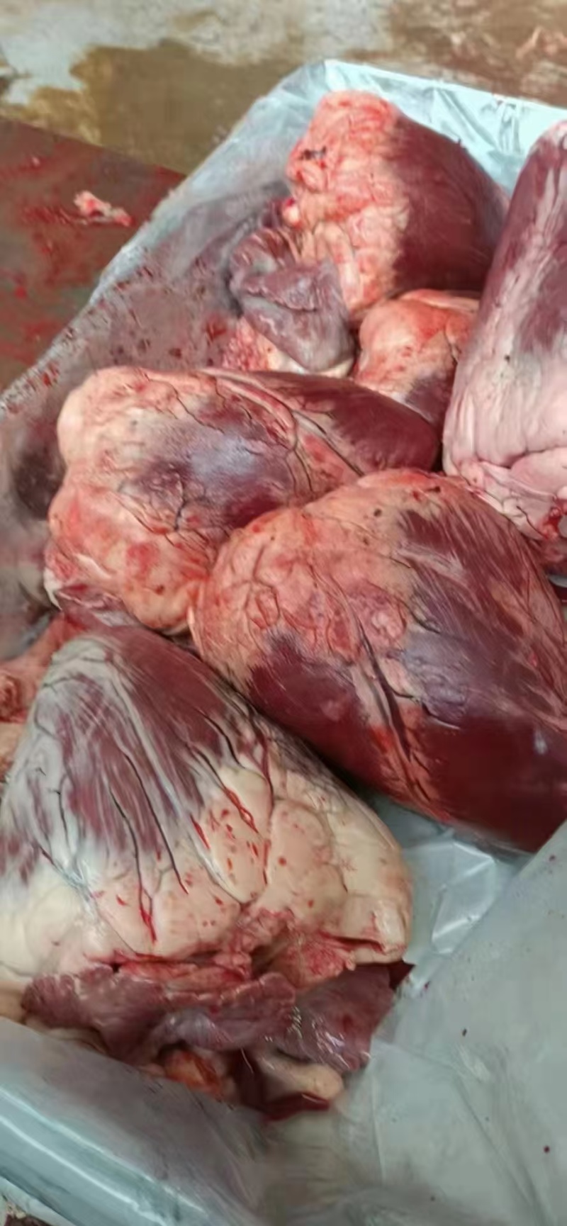 牛心，生牛心，鲜冻牛心，鲜冻生牛心。。。