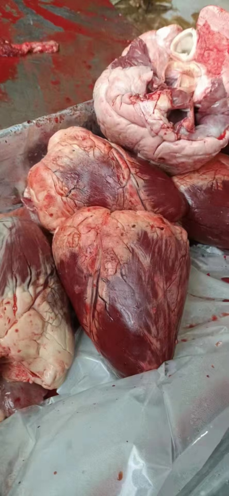 牛心，生牛心，鲜冻牛心，鲜冻生牛心。。。