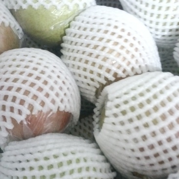 阳信膜代鸭梨