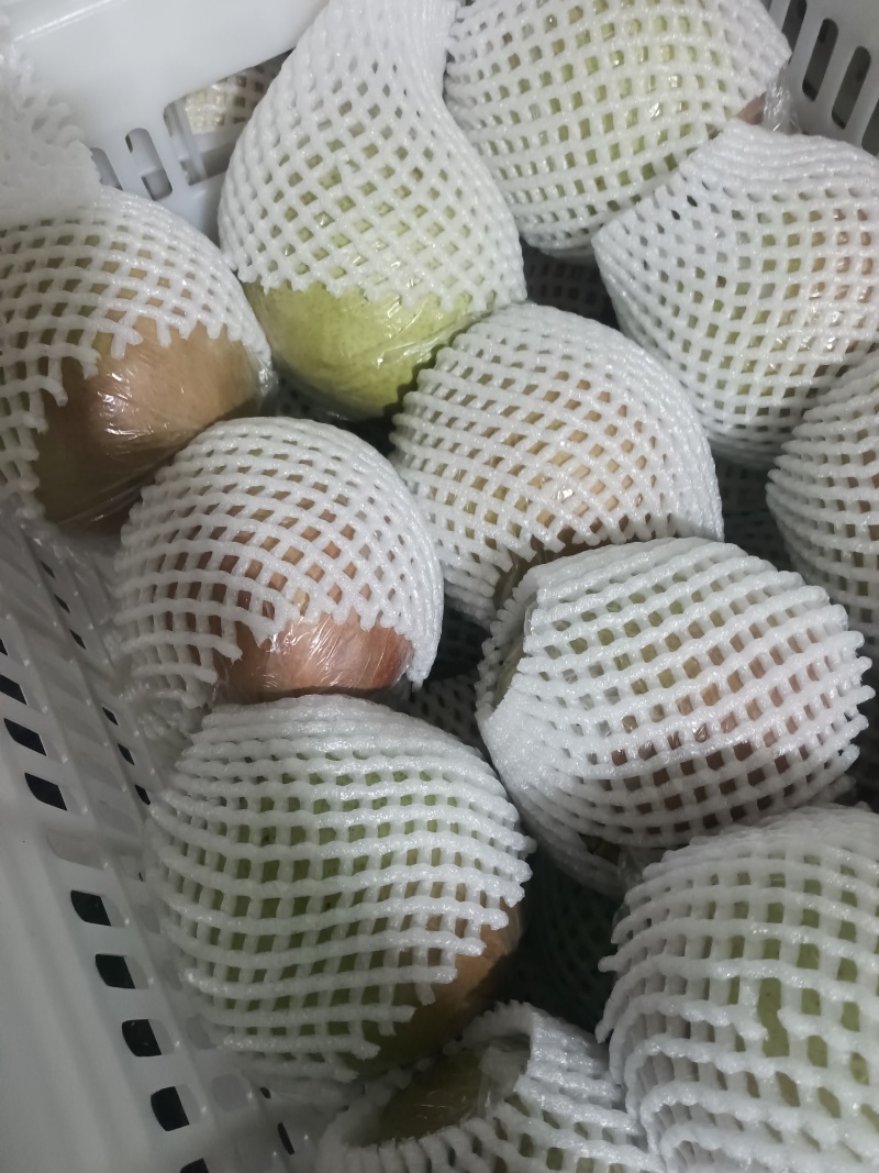 阳信膜代鸭梨
