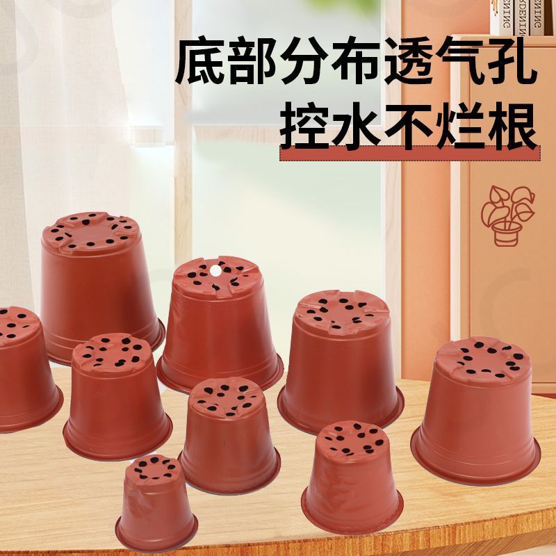 简易加厚双色花盆一次性塑料花盆大号培育盆