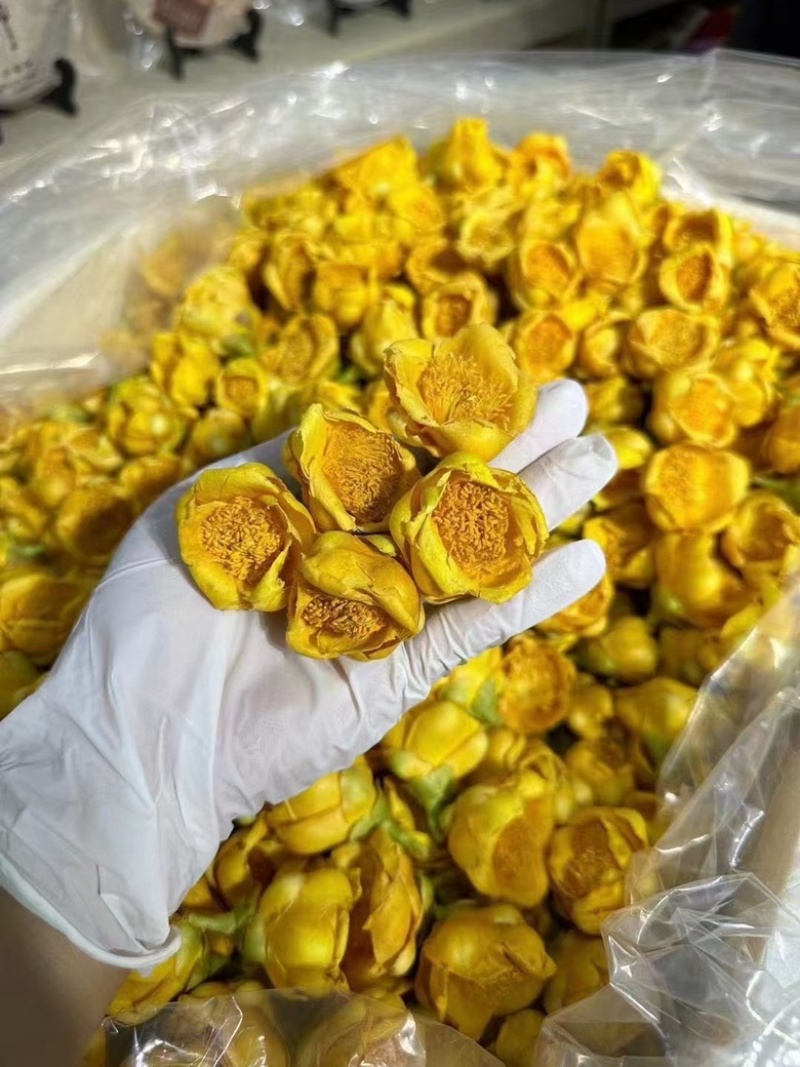 金花茶批发产地直销金茶花直供对接电商直播