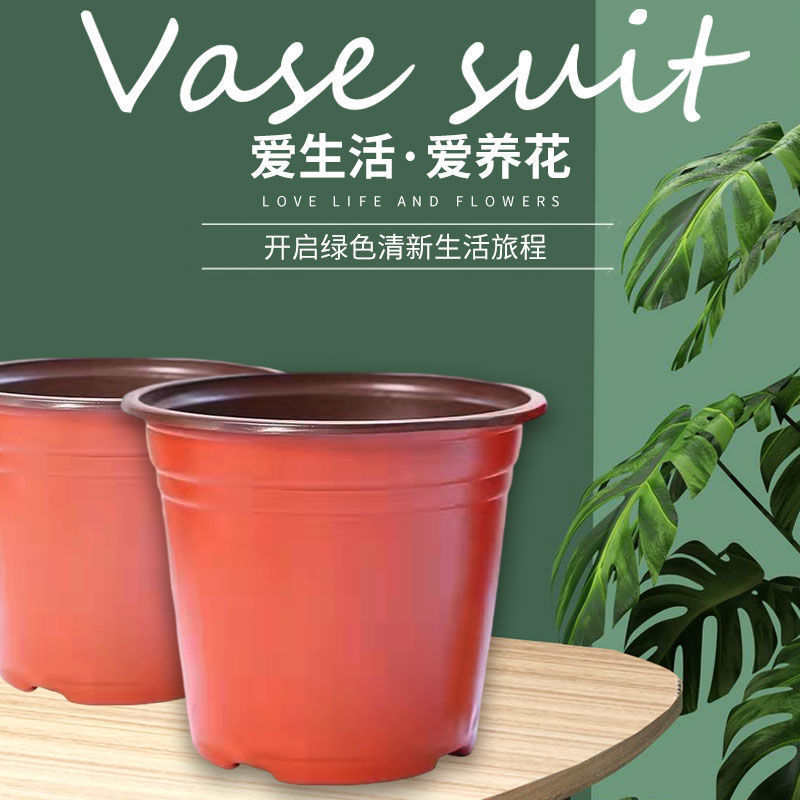 简易加厚双色花盆一次性塑料花盆大号培育盆