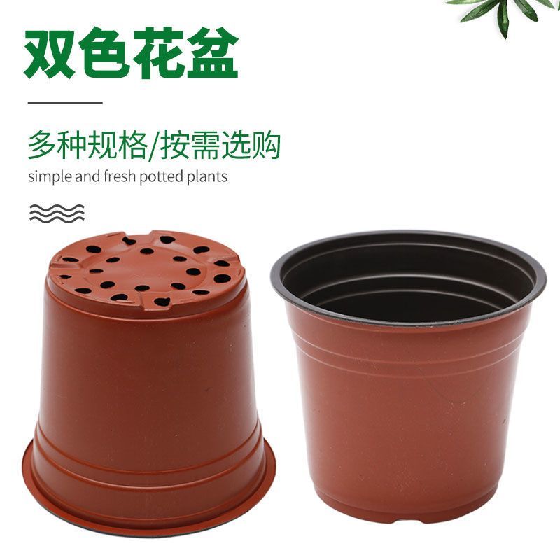 简易加厚双色花盆一次性塑料花盆大号培育盆