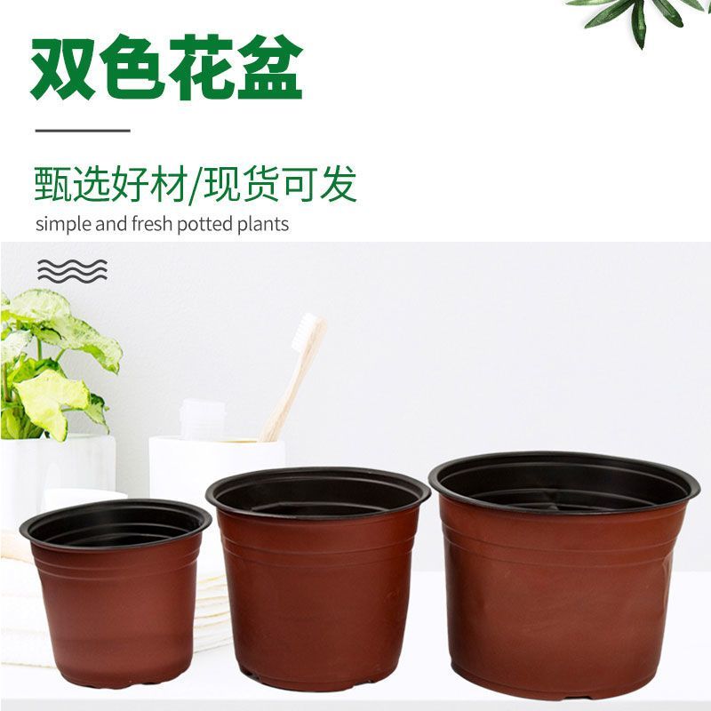 简易加厚双色花盆一次性塑料花盆大号培育盆