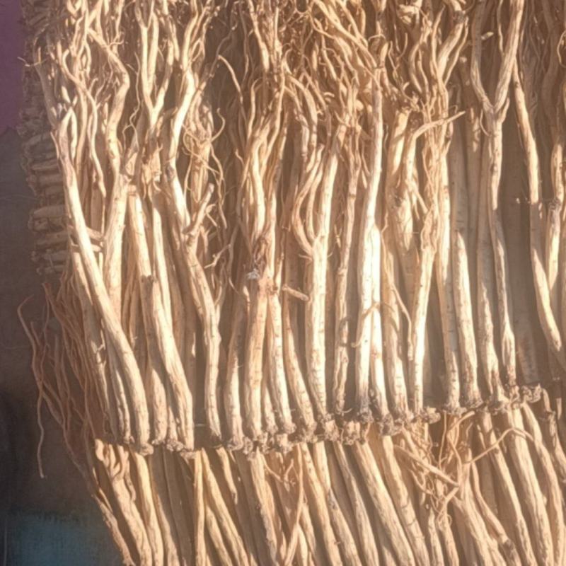 岷县精品无硫党参，产地发货，高山高海拔种植，可视频看货