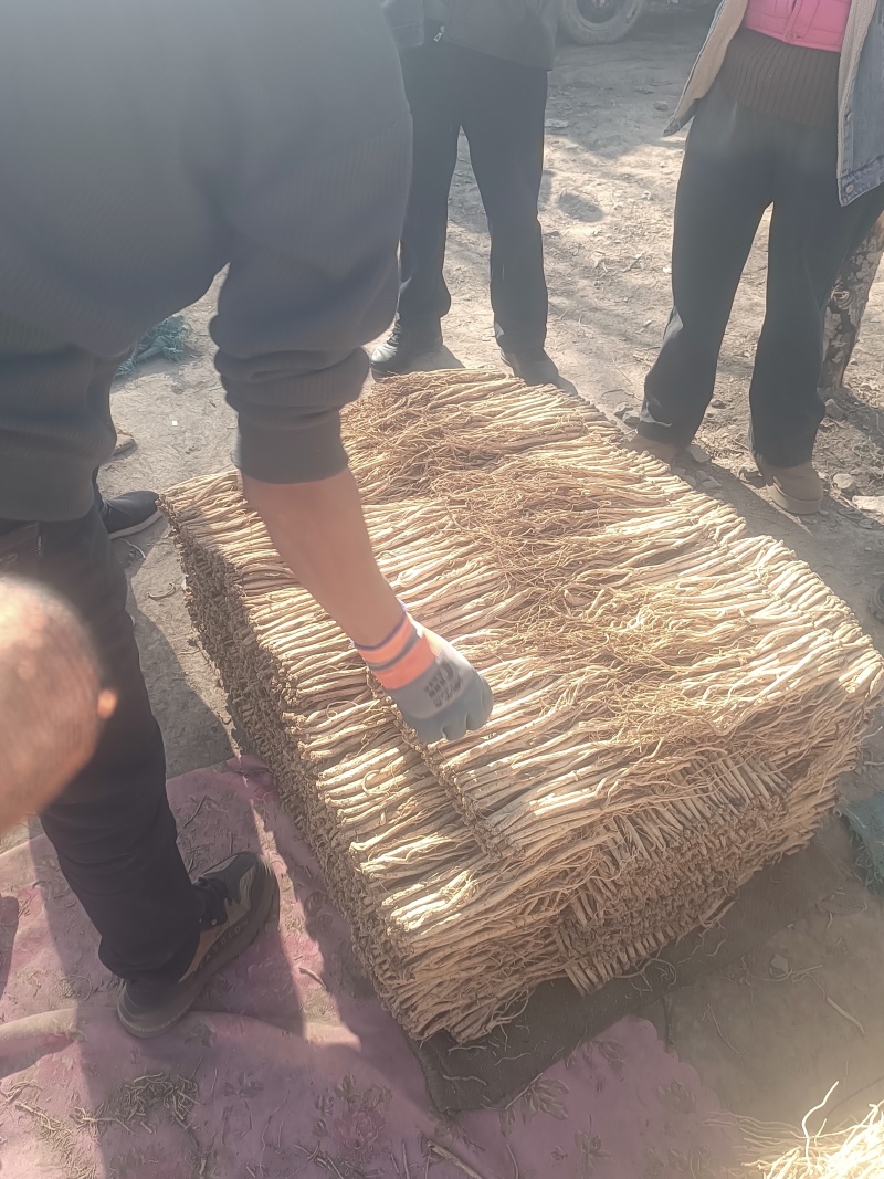 岷县精品无硫党参，产地发货，高山高海拔种植，可视频看货