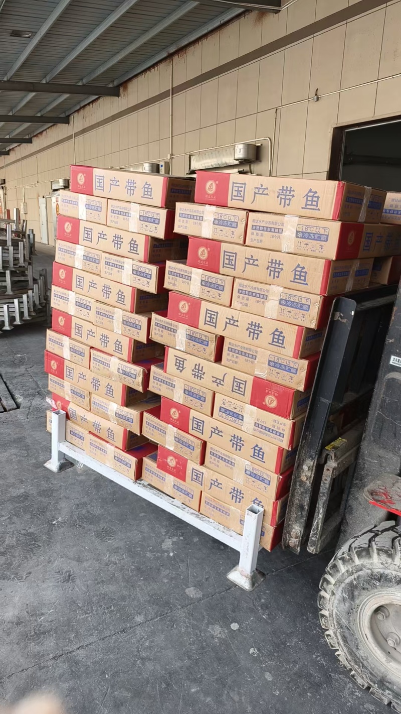国产干冰带鱼现货现发欢迎咨询各种规格有货