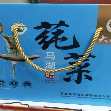 四川雷波马湖纯菜，一手货源，诚信经营，可视频看货