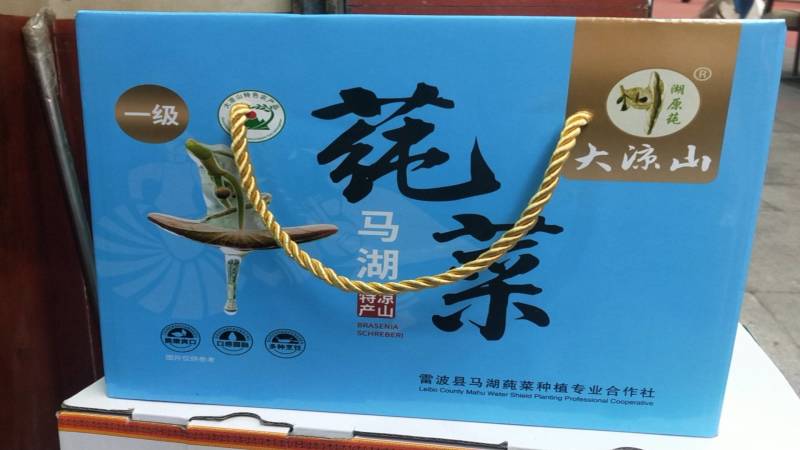 四川雷波马湖纯菜，一手货源，诚信经营，可视频看货