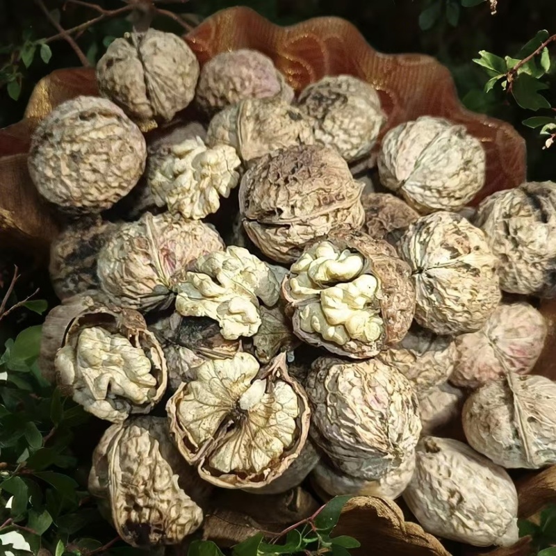 云南麻子果电商货地摊货都有
